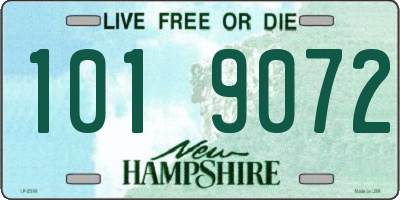 NH license plate 1019072