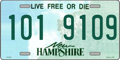 NH license plate 1019109