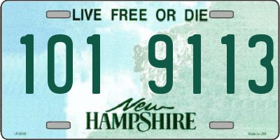 NH license plate 1019113