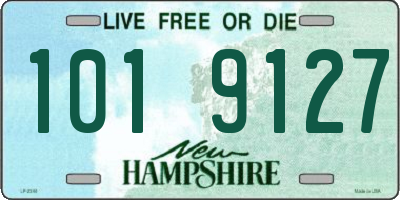 NH license plate 1019127