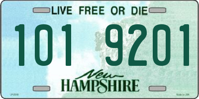 NH license plate 1019201