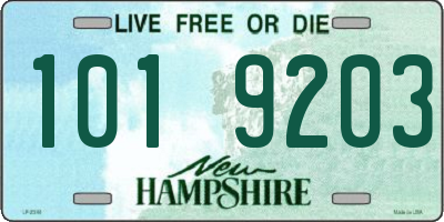 NH license plate 1019203