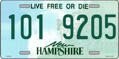 NH license plate 1019205