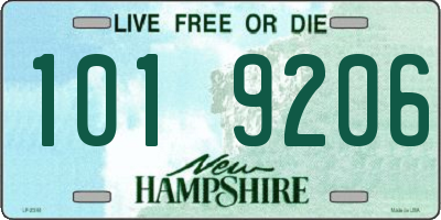 NH license plate 1019206