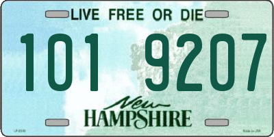 NH license plate 1019207