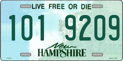 NH license plate 1019209