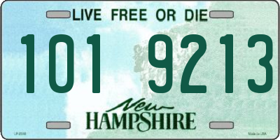 NH license plate 1019213
