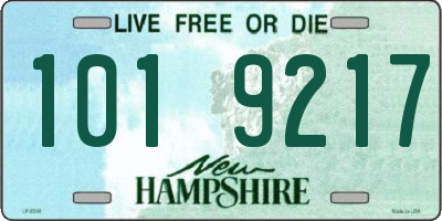 NH license plate 1019217
