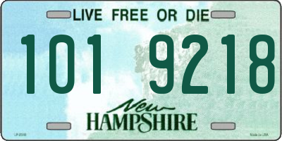 NH license plate 1019218