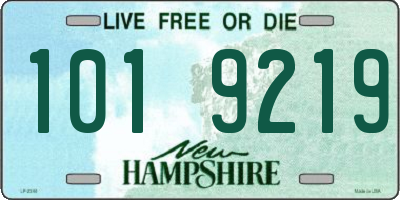 NH license plate 1019219