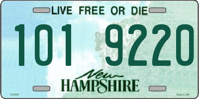NH license plate 1019220
