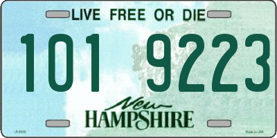 NH license plate 1019223