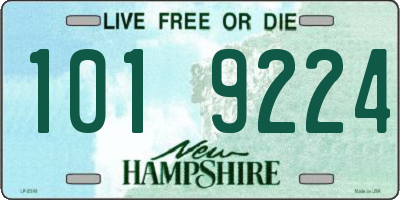NH license plate 1019224