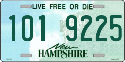 NH license plate 1019225