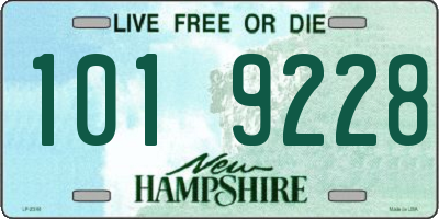 NH license plate 1019228