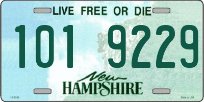 NH license plate 1019229