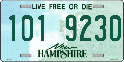 NH license plate 1019230