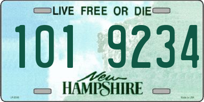 NH license plate 1019234