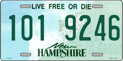 NH license plate 1019246
