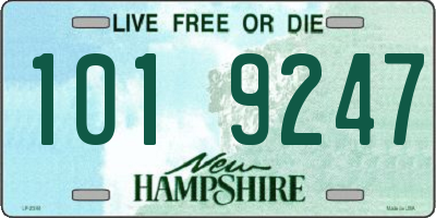 NH license plate 1019247