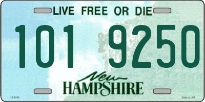 NH license plate 1019250