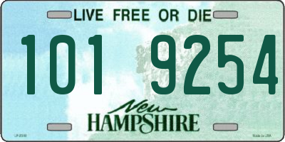 NH license plate 1019254