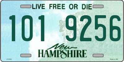 NH license plate 1019256
