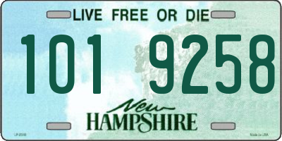 NH license plate 1019258