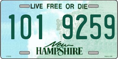 NH license plate 1019259