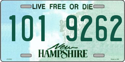 NH license plate 1019262