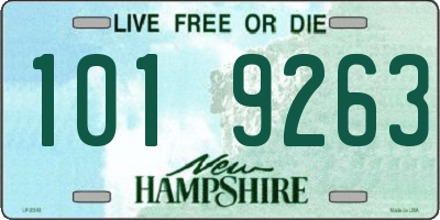 NH license plate 1019263