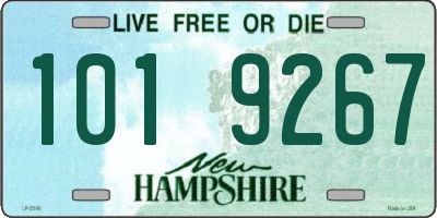 NH license plate 1019267