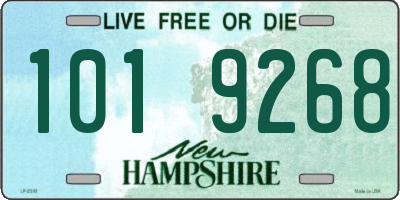 NH license plate 1019268
