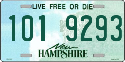 NH license plate 1019293