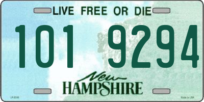 NH license plate 1019294