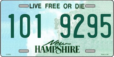 NH license plate 1019295