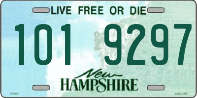 NH license plate 1019297