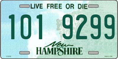 NH license plate 1019299