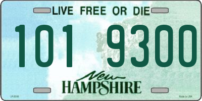 NH license plate 1019300