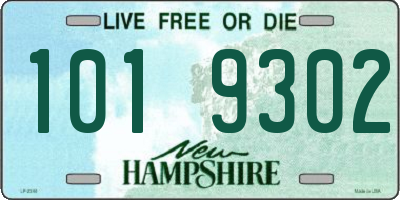 NH license plate 1019302