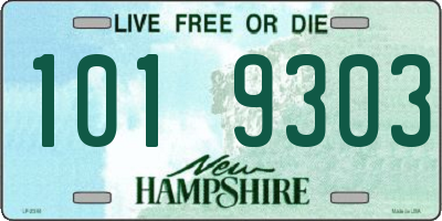 NH license plate 1019303