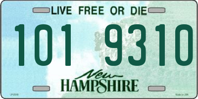 NH license plate 1019310