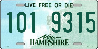 NH license plate 1019315