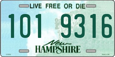 NH license plate 1019316