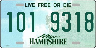 NH license plate 1019318