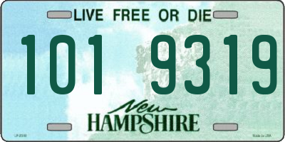 NH license plate 1019319