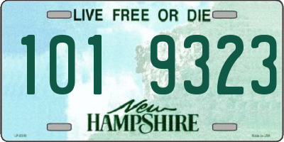 NH license plate 1019323