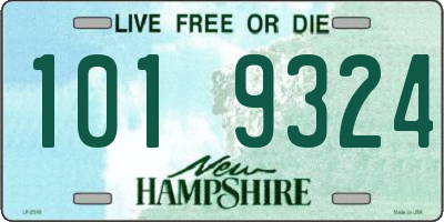 NH license plate 1019324
