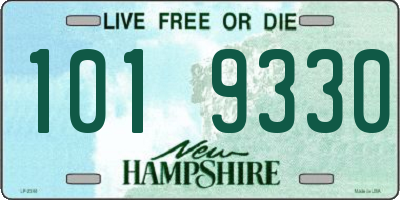 NH license plate 1019330
