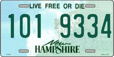 NH license plate 1019334